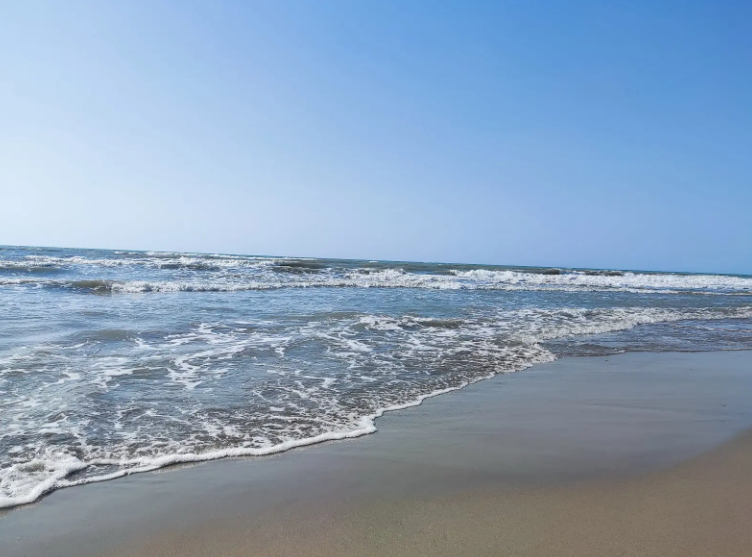 Darëzezë e Re, , Albania